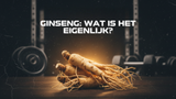 Wat is ginseng?