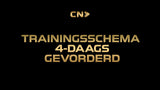 4-Daags Trainingsschema - Goud-Droog