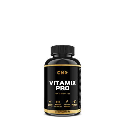 Vitamix Pro