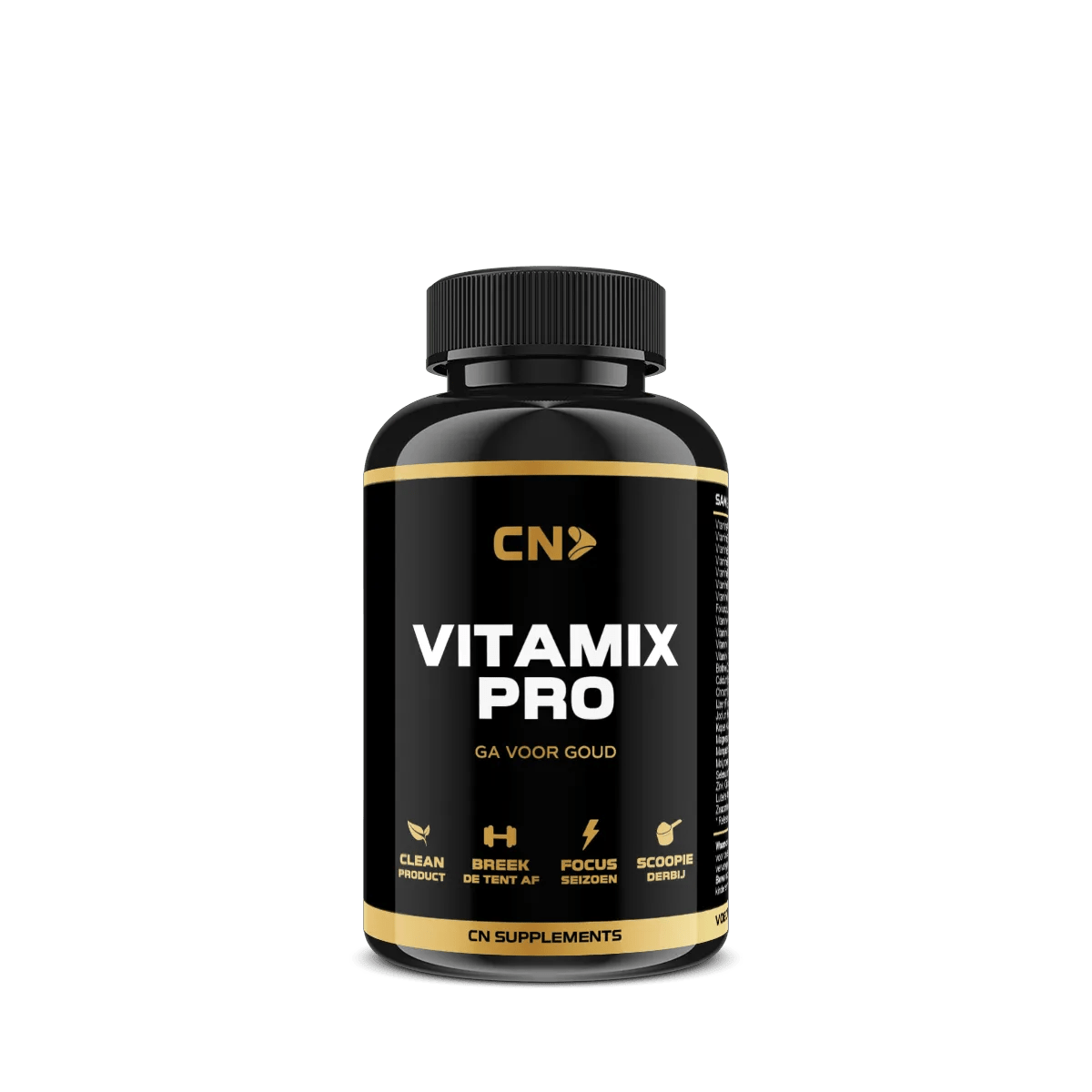 Vitamix Pro